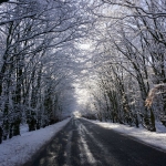 14-Ocak-Carsamba-Gunu-Hangi-Illerde-Kar-Tatili-Ilan-Edildi-featured