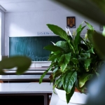 DYK-Kurslarinda-Buyuk-Donusum-8.-ve-12.-Siniflar-Artik-HEM8217de-featured