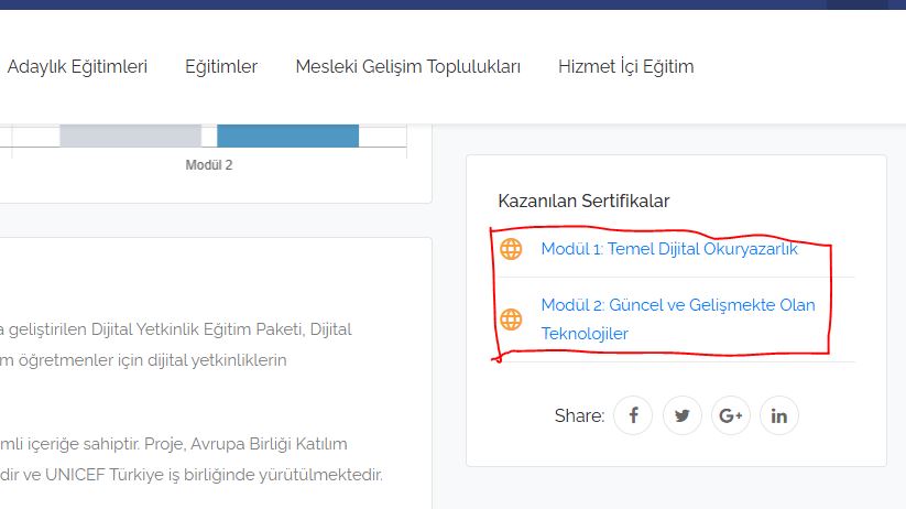 Hizmet İçi Eğitim Modülü