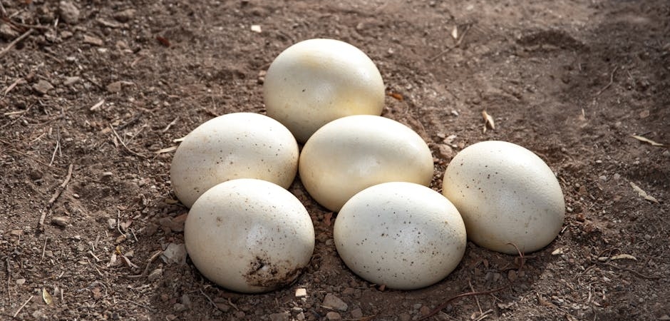 Turkiye8217nin-Egitim-Harcamalari-OECD-Ortalamasinin-Cok-Altinda-featured