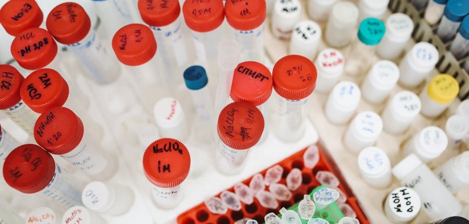 MEB8217den-2026-LGS-Mart-Ayi-Ornek-Sorulari-ve-Cozum-Videolari-Yayimlandi-featured